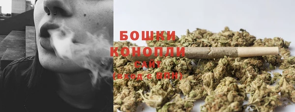 ГАЛЛЮЦИНОГЕННЫЕ ГРИБЫ Заволжье