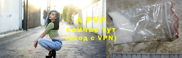 ГАЛЛЮЦИНОГЕННЫЕ ГРИБЫ Заволжье