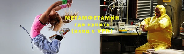 ГАЛЛЮЦИНОГЕННЫЕ ГРИБЫ Заволжье