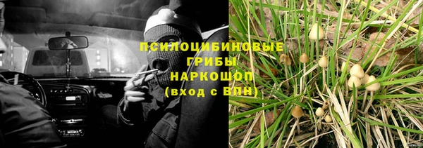 марихуана Заводоуковск