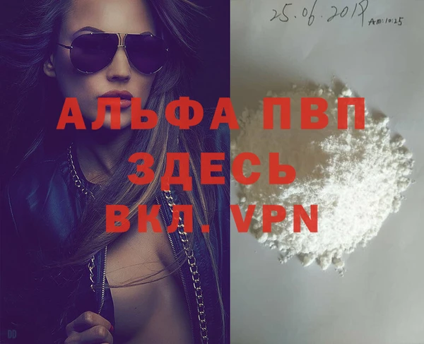 ГАЛЛЮЦИНОГЕННЫЕ ГРИБЫ Заволжье