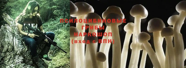 марихуана Заводоуковск