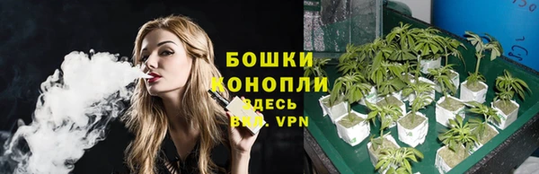 ГАЛЛЮЦИНОГЕННЫЕ ГРИБЫ Заволжье