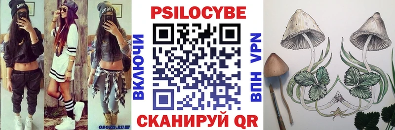 Галлюциногенные грибы Psilocybe  Купить где  Крым 